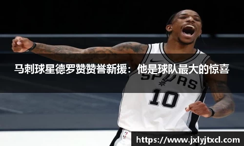 乐动LDSports官网