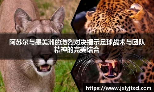 乐动LDSports综合体育